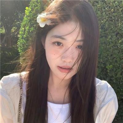 小迪克西